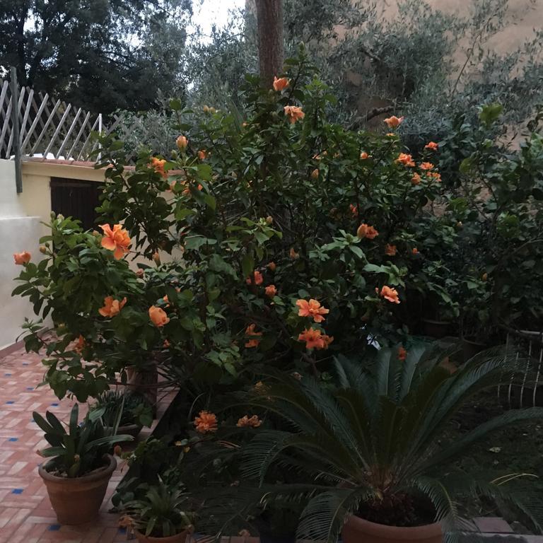 Carrer Dels Horts Alghero Exterior foto